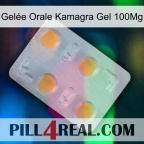 Gelée Orale Kamagra Gel 100Mg 24